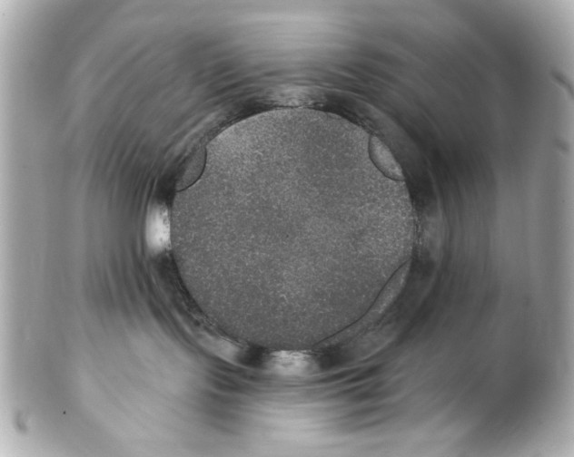 X0000102040095200808151416