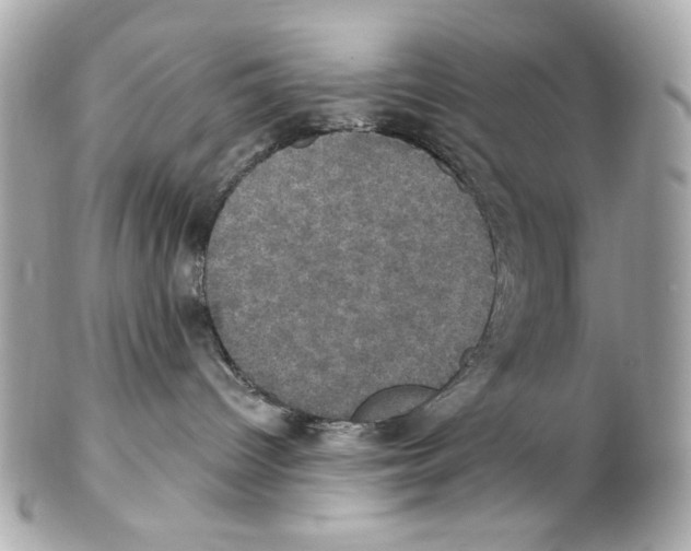 X0000102040096200808151416