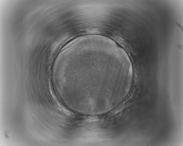 X0000102040097200808151416