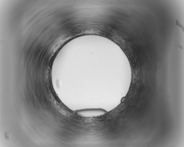 X0000102040098200808151415