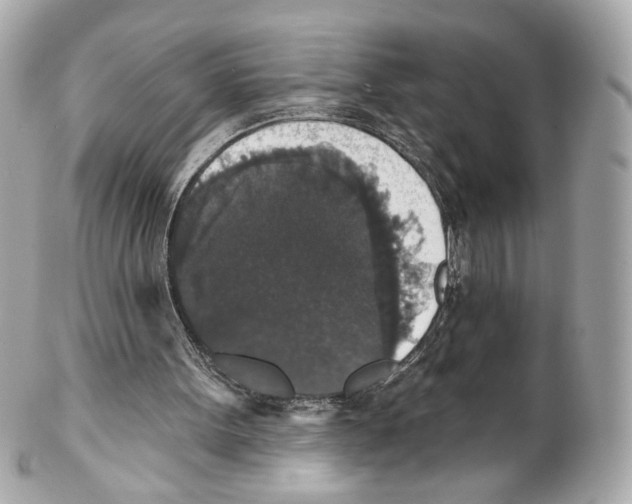 X0000102040099200808151415