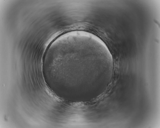 X0000102040100200808151415