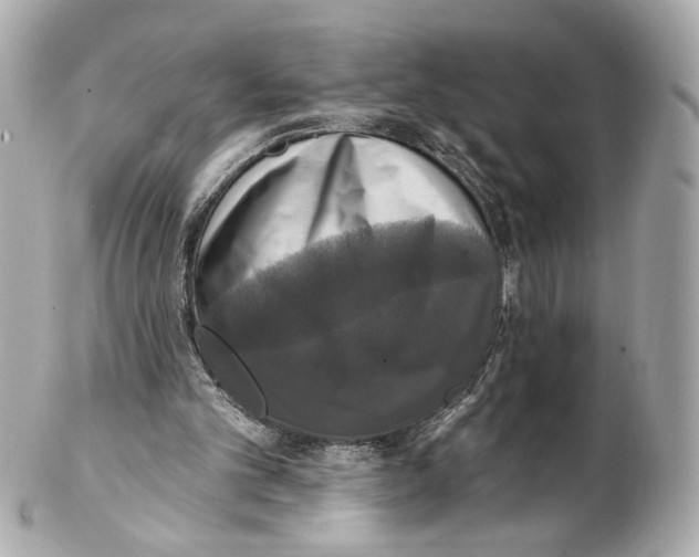 X0000102040101200808151415