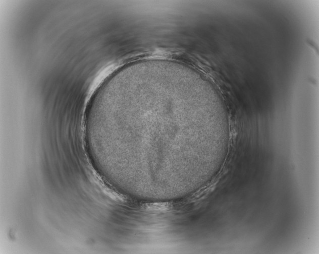 X0000102040102200808151415