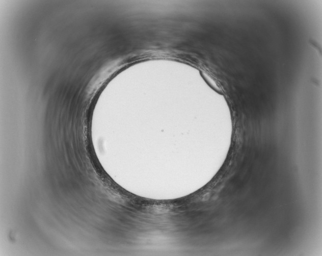 X0000102040103200808151415