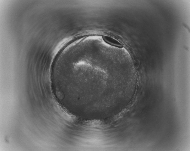 X0000102040104200808151415