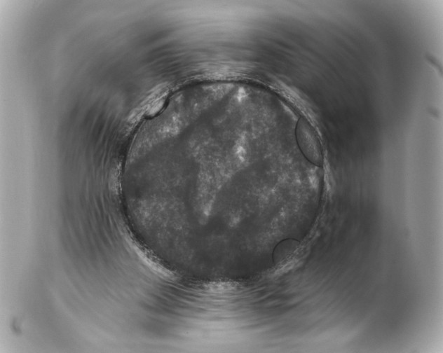 X0000102040105200808151415