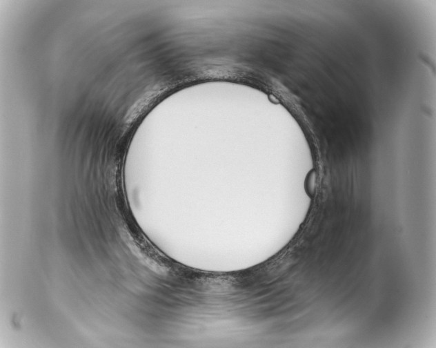 X0000102040106200808151415
