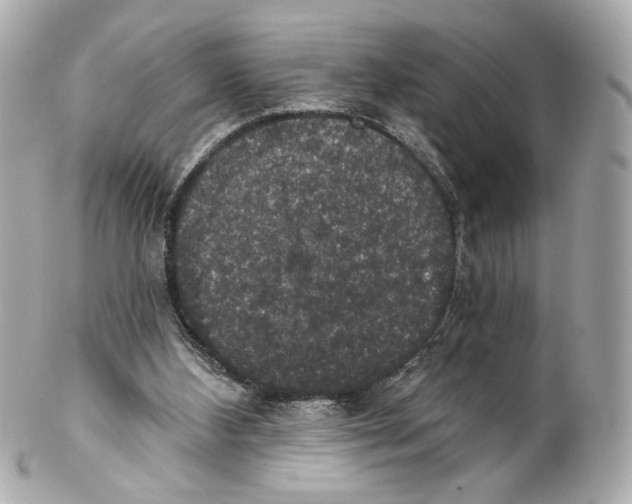 X0000102040108200808151415