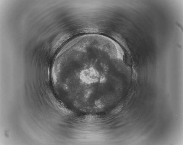X0000102040109200808151415