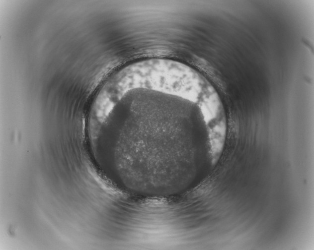 X0000102040110200808151415
