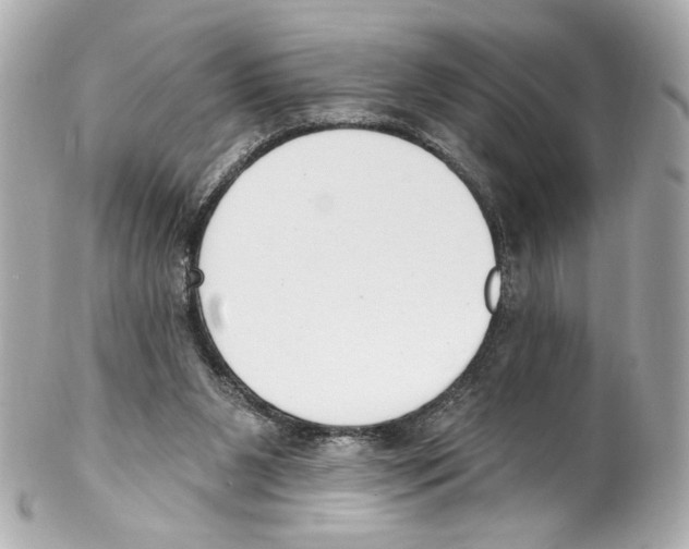 X0000102040111200808151415