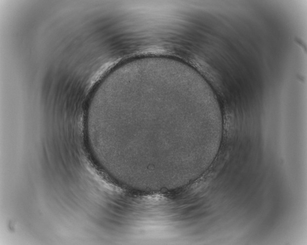 X0000102040112200808151415