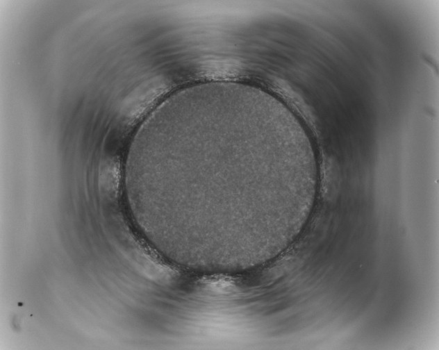 X0000102040113200808151415
