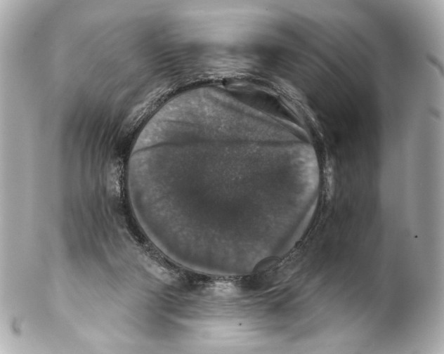 X0000102040114200808151415