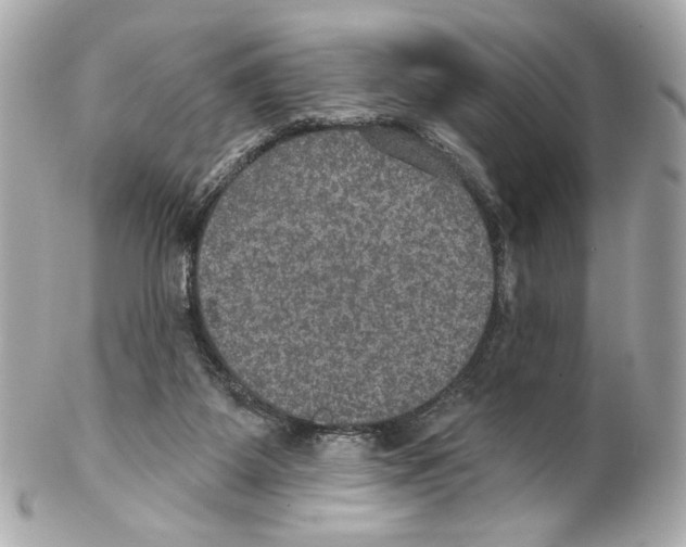 X0000102040115200808151415