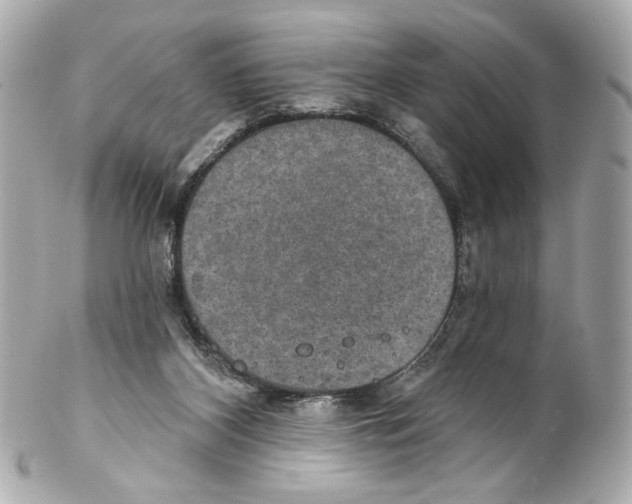 X0000102040116200808151415