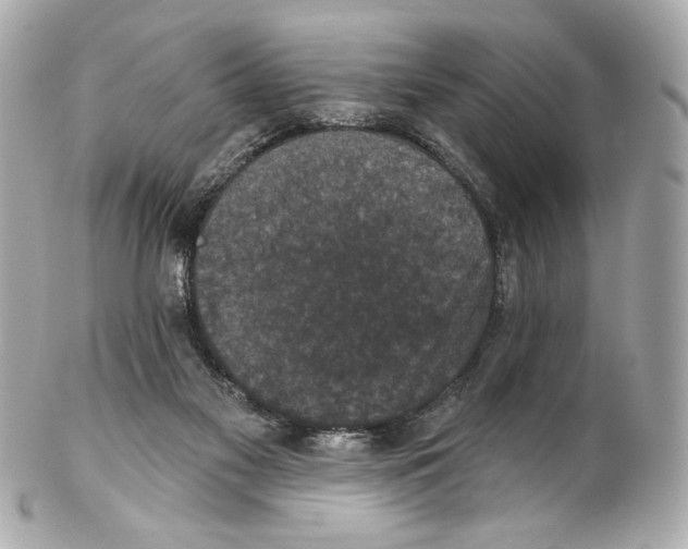 X0000102040117200808151415