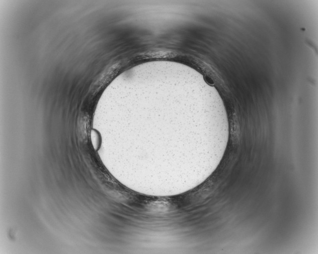 X0000102040119200808151415