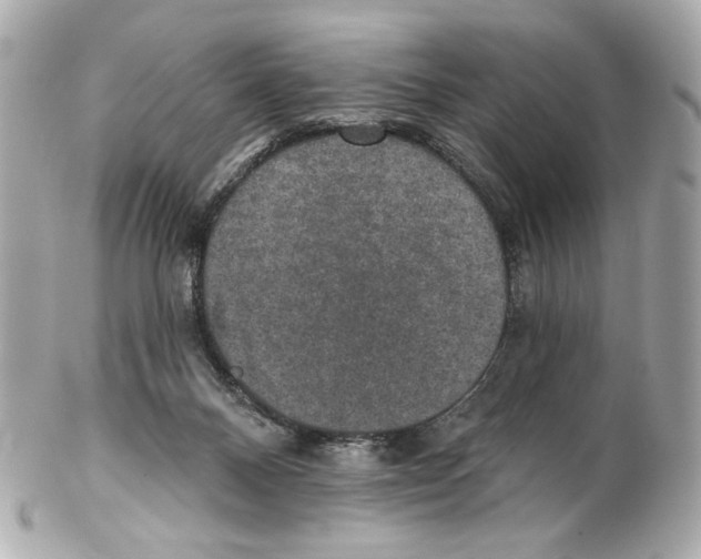 X0000102040120200808151415