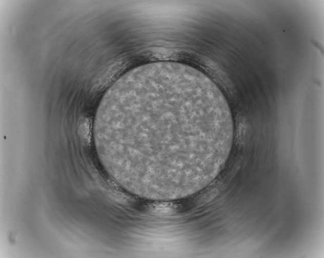 X0000102040121200808151415