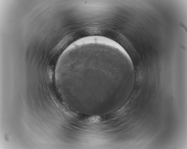 X0000102040124200808151415