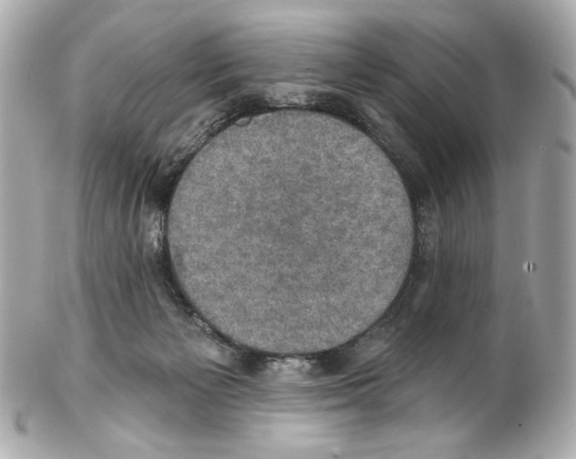 X0000102040125200808151415