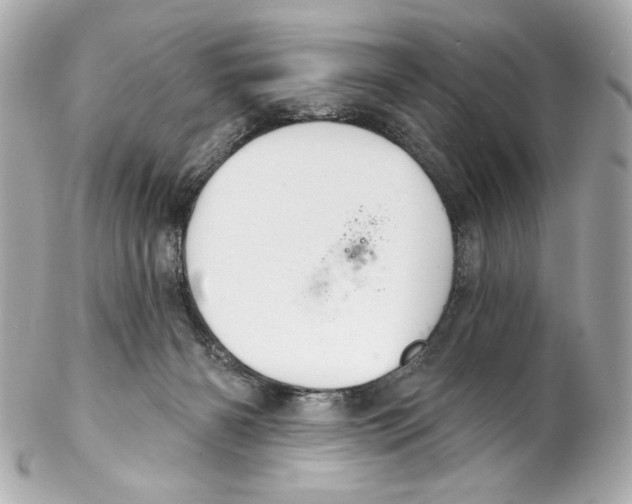 X0000102040126200808151415