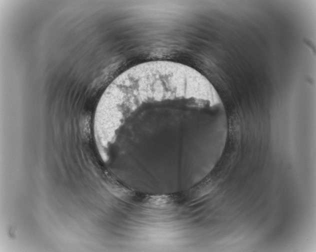 X0000102040127200808151415