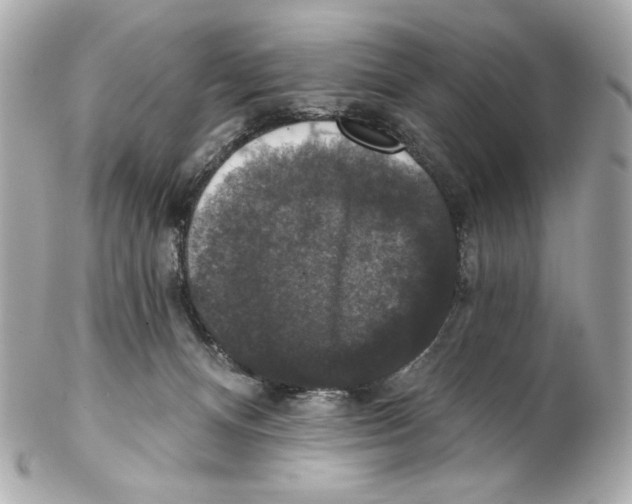 X0000102040128200808151415