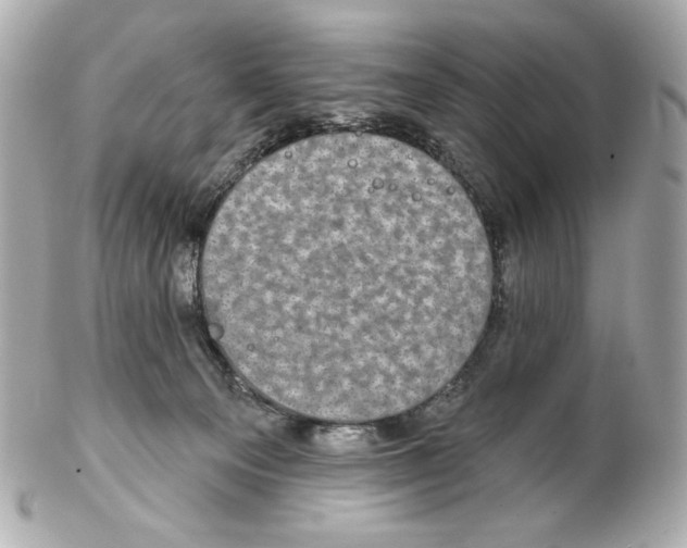 X0000102040129200808151415