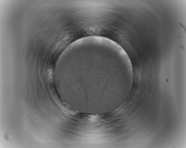 X0000102040130200808151415