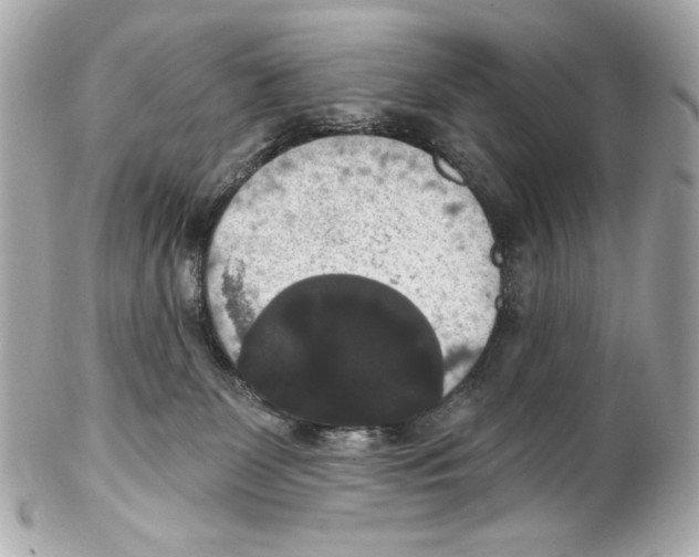 X0000102040131200808151415