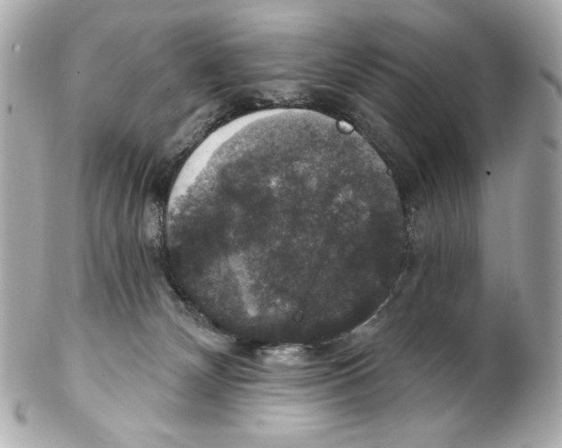 X0000102040132200808151415