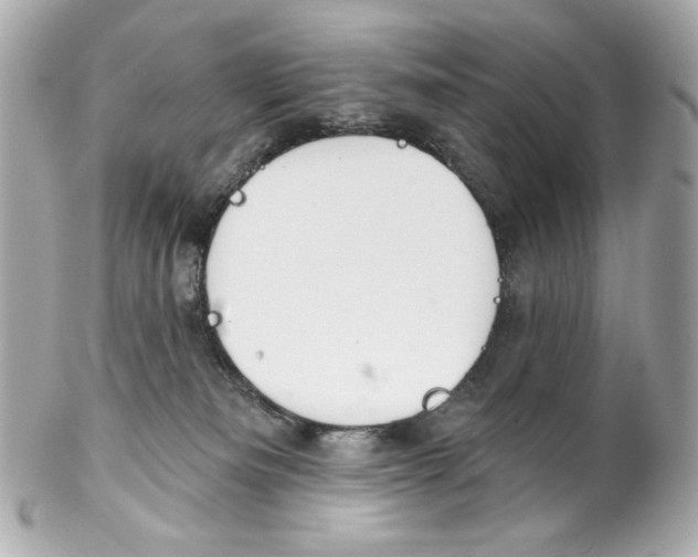 X0000102040133200808151415