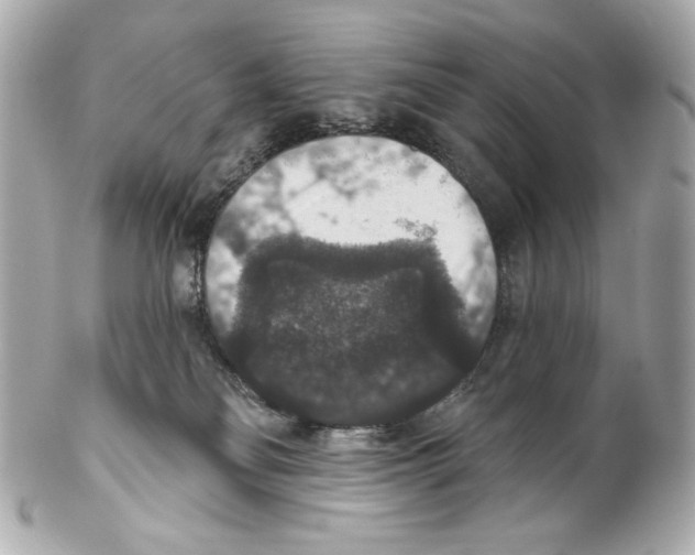 X0000102040134200808151415