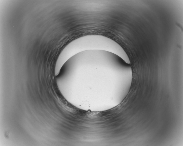 X0000102040136200808151415