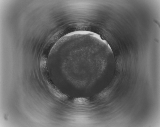 X0000102040137200808151415