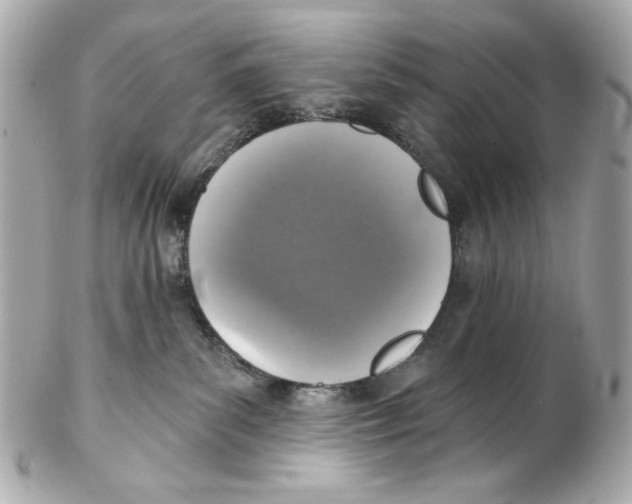 X0000102040139200808151415