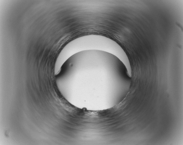 X0000102040140200808151415