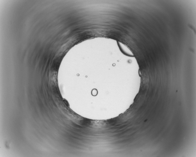 X0000102040141200808151415