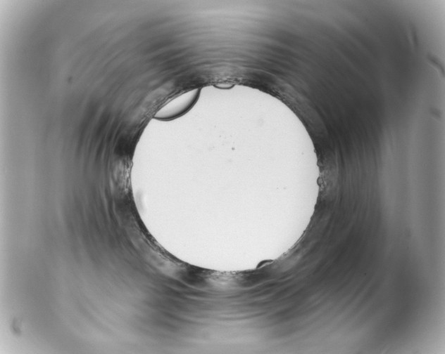 X0000102040142200808151415