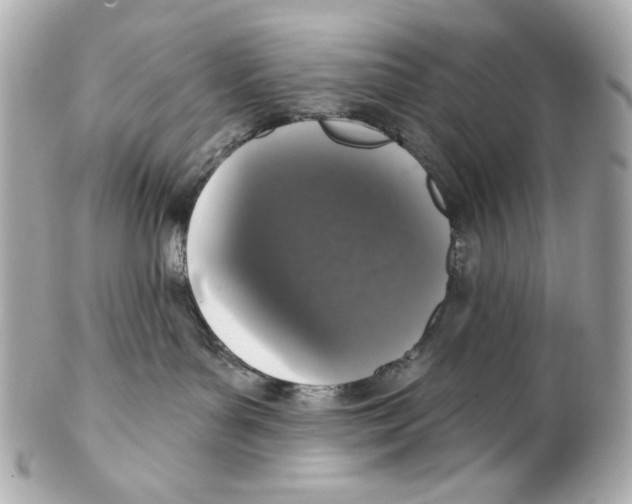 X0000102040143200808151415
