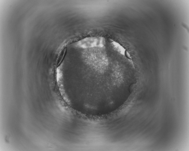 X0000102040144200808151415