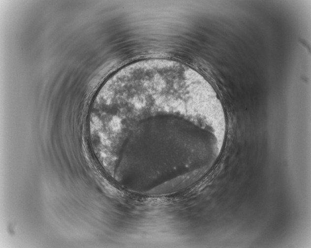 X0000102040145200808151414
