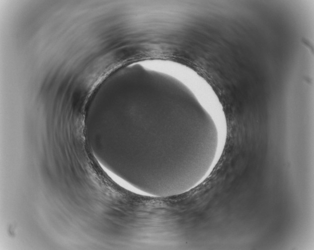 X0000102040146200808151414