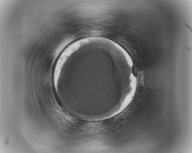 X0000102040147200808151414