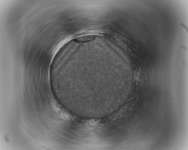 X0000102040148200808151414