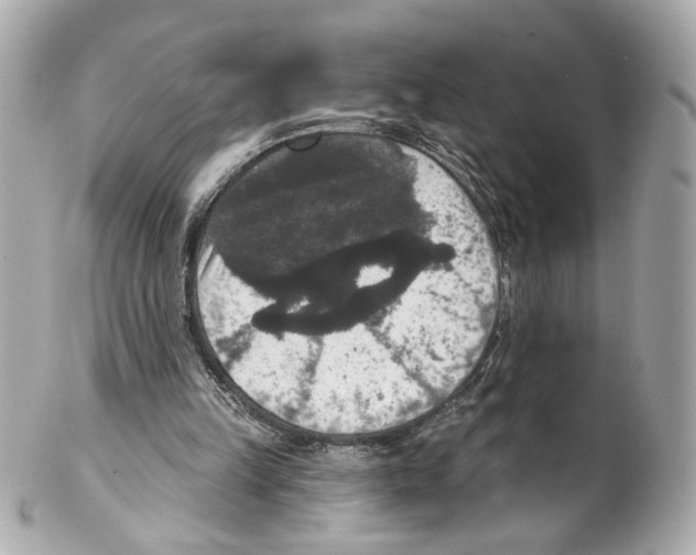 X0000102040149200808151414