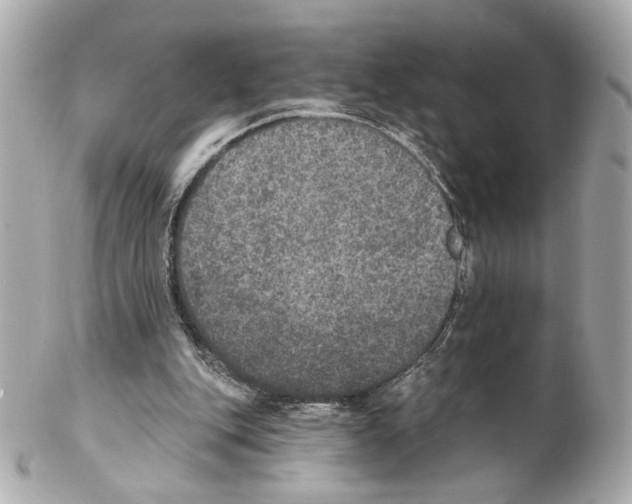 X0000102040151200808151414